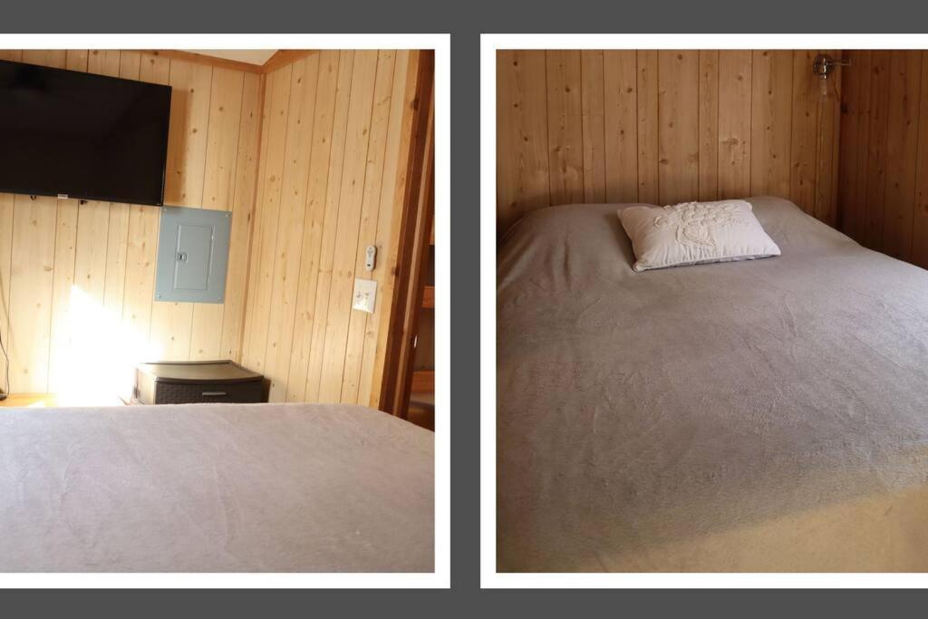 Driftwood Cabin - 2Nd Street Steinhatchee Bagian luar foto